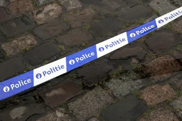 Politielint