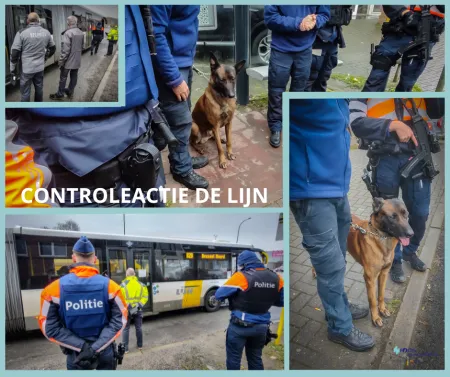 DE LIJN