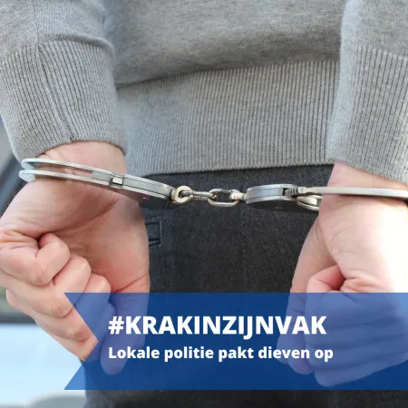 Lokale politie pakt dieven op