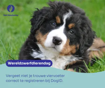 Wereldzwerfdierendag