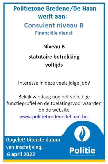 Affiche consulent niv b