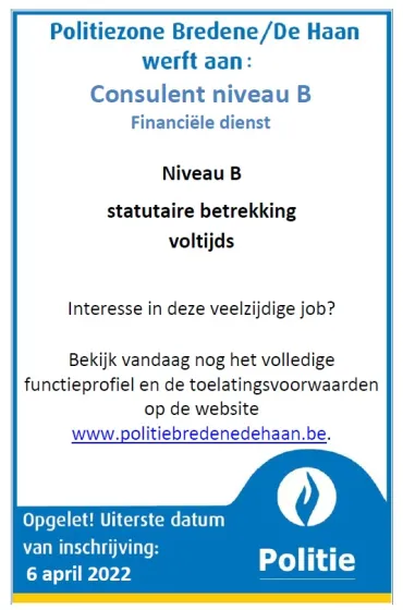 Affiche consulent niv b