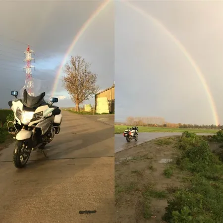 regenboog 