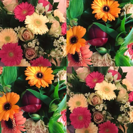 bloemen 