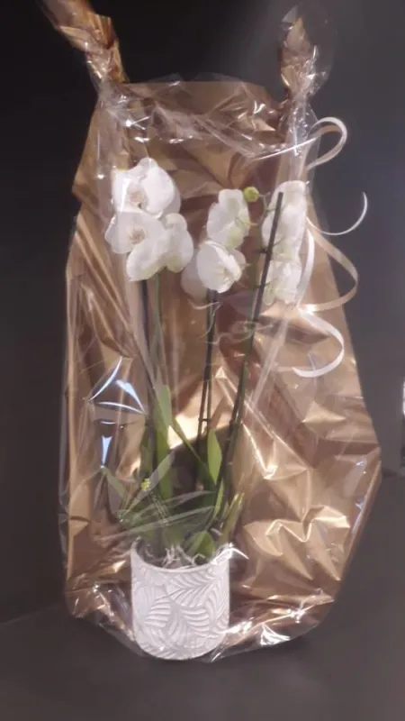 bloemetje 