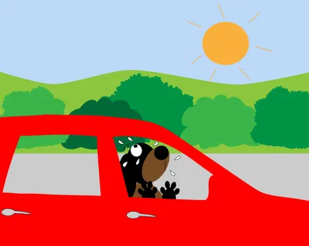 hond in wagen 