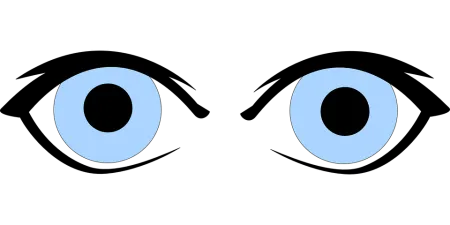 ogen 