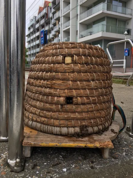 bijen 2