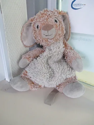 knuffelkonijn 