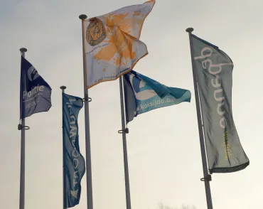 vlaggen 