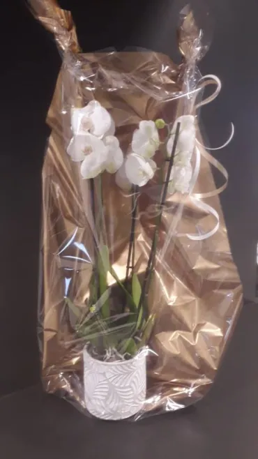 bloemetje 