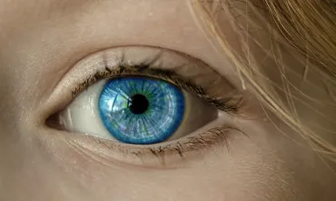 oog 