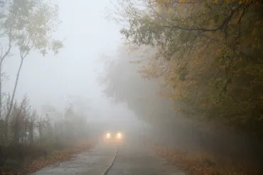 dichte mist 