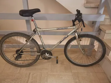 gestolen fiets