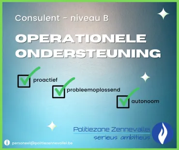 Consulent operationele ondersteuning