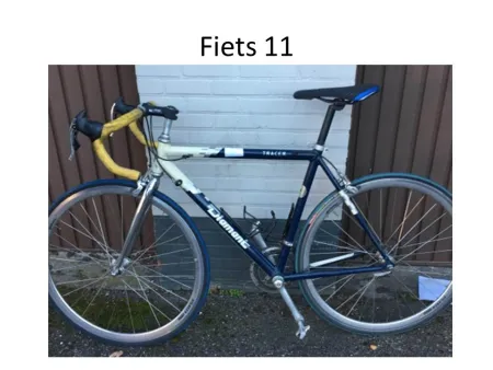 Fiets11