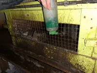 Inbeslagname dieren3