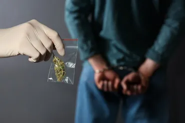 Cannabis arrestatie