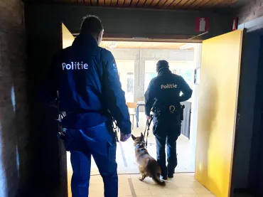 Training hondenbrigade