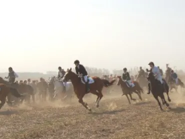 Paardenprocessie 2019