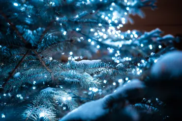 Kerstboom