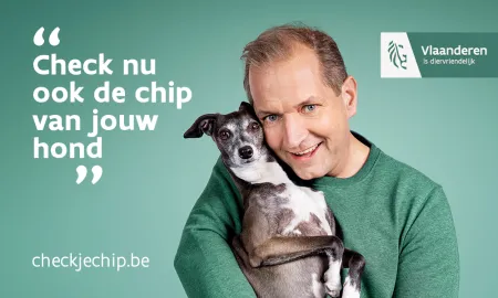 check je chip