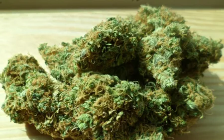 Cannabis (foto: Pixabay)