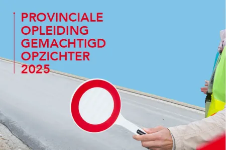 Gemachtigd opzichter