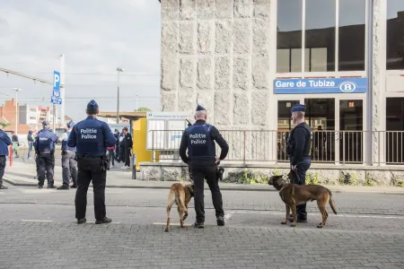 Profil et compétences