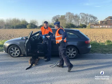 Resultaten HaViC-actie in arrondissement Halle-Vilvoorde