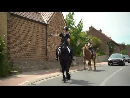 Kijk Uit: Paarden in het verkeer 
