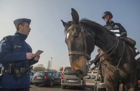 Cavalerie federale politie