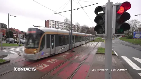 Contacts: Les transports en commun