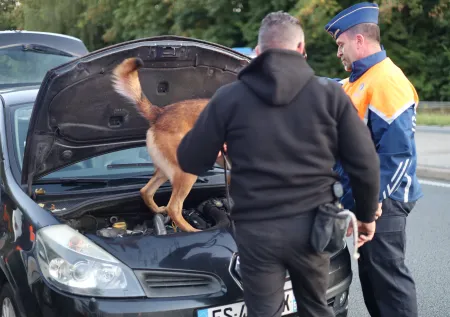 De La Panne à Tournai : grande action de contrôle intégrée contre la criminalité transfrontalière 