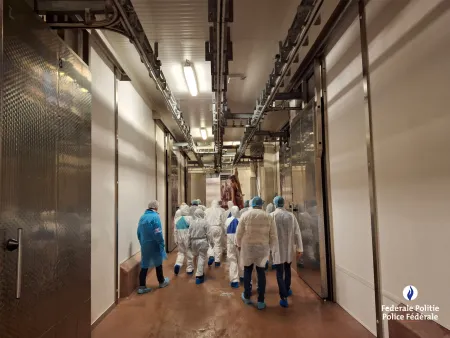 Internationale actie tegen georganiseerde criminaliteit in de vleessector 