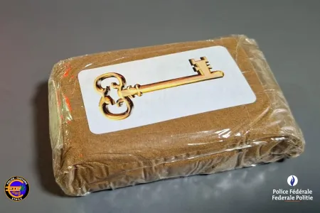 Opération Etoile : 106 750 euros et 6,8 kilos de cocaïne saisis lors de divers contrôles 