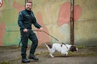 Une collaboration avec l’Université de Liège (ULiège) pour faciliter la formation des chiens pisteurs « restes humains » 