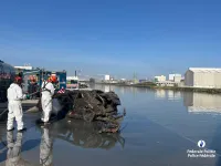 À la recherche de réponses : déjà 17 épaves de voiture repêchées dans le canal Bruxelles-Escaut par la cellule Personnes disparues 