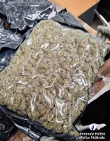 La PJF du Limbourg intercepte 320 kg de marijuana 