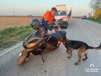 Resultaten HaViC-actie in arrondissement Halle-Vilvoorde