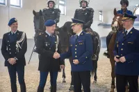 La Belgique et les Pays-Bas forment ensemble les futurs chevaux de police