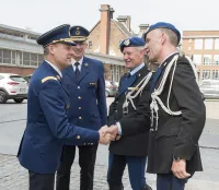 La Belgique et les Pays-Bas forment ensemble les futurs chevaux de police