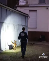 31 interpellations dans le cadre de lutte contre le trafic de stupéfiants à Charleroi