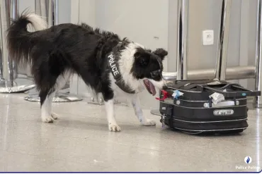 Les policiers belges vivront aussi au rythme des Jeux Olympiques