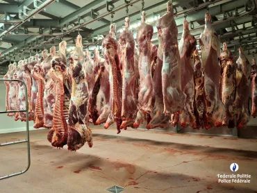 Action internationale contre le crime organisé dans le secteur de la viande 