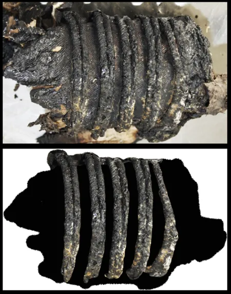 Femme inconnue - Liège