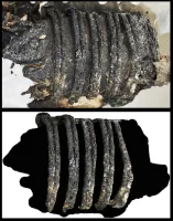 Femme inconnue - Liège