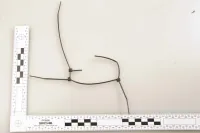 Meurtre de Robert Ardenoy - Appel à témoins