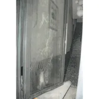 260117 ANTWERPEN Schade