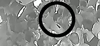 VIDEO - Opzettelijke slagen en verwondingen aan café BANKSKE in Wevelgem